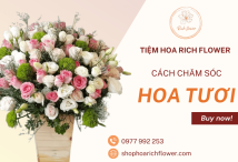 Bí quyết giữ hoa được tặng tươi lâu hơn mà không phải ai cũng biết