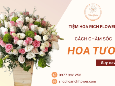 Bí quyết giữ hoa được tặng tươi lâu hơn mà không phải ai cũng biết