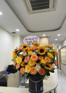 Hoa hồng mix hướng dương 