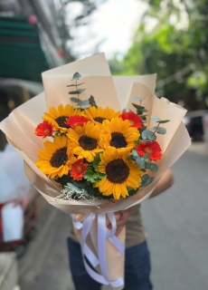 Hướng dương mix