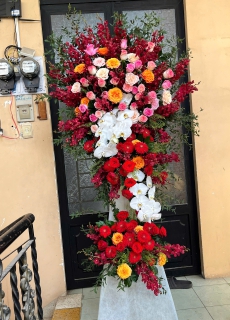 Hoa Khai Trương 16