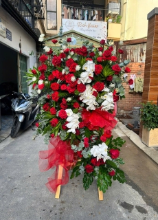 Hoa Khai Trương 18